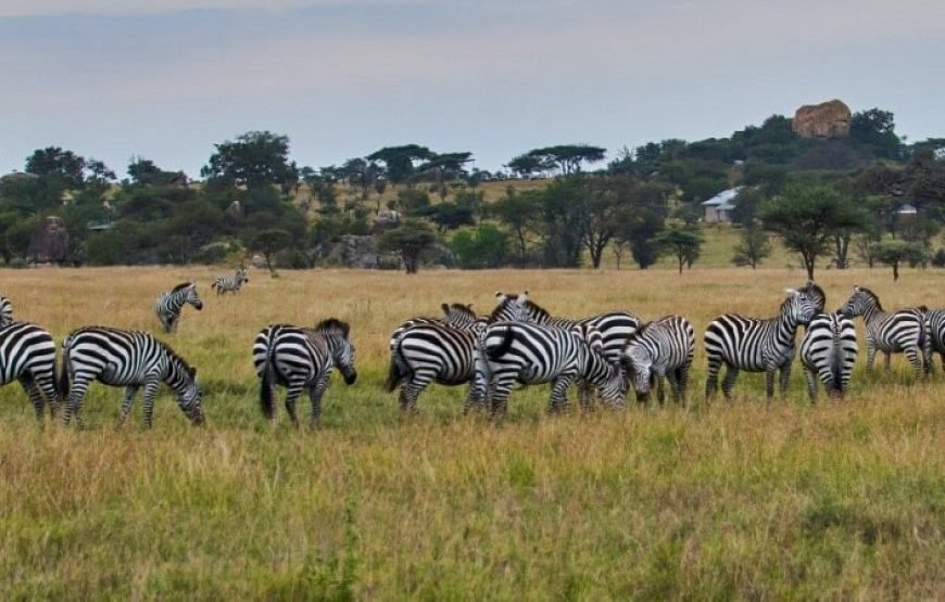 1 Day Lake Mburo Tour from Kampala