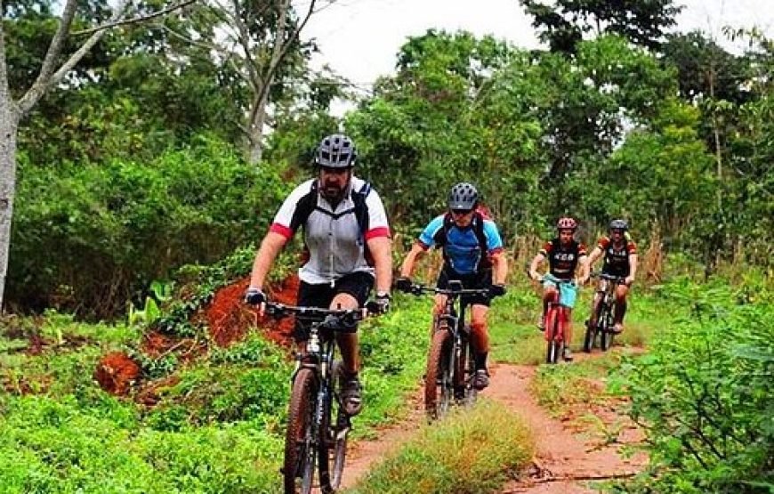 Lake Victoria Island Cycling Tour from Kampala