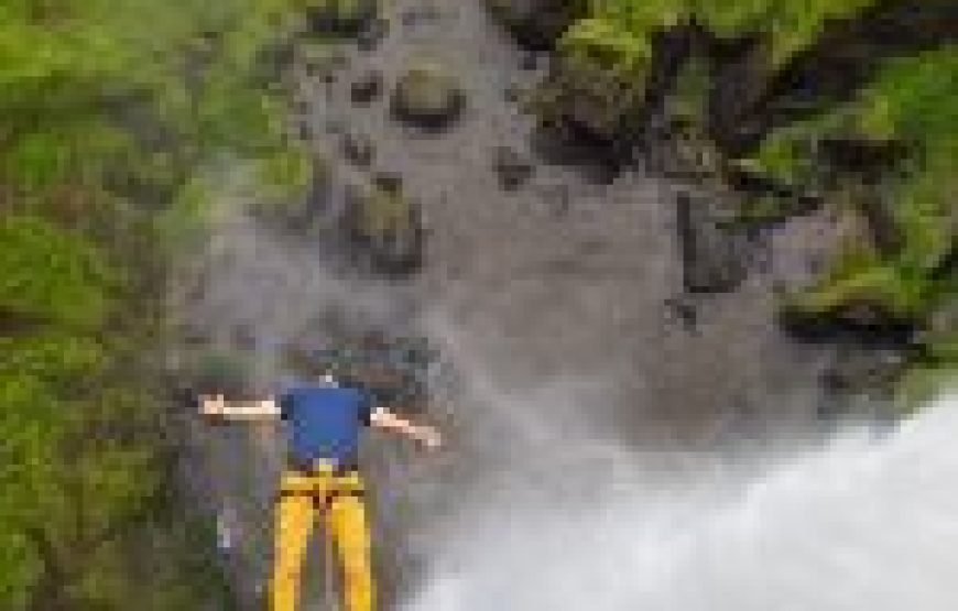 3-Day Murchison Falls National Park Safari