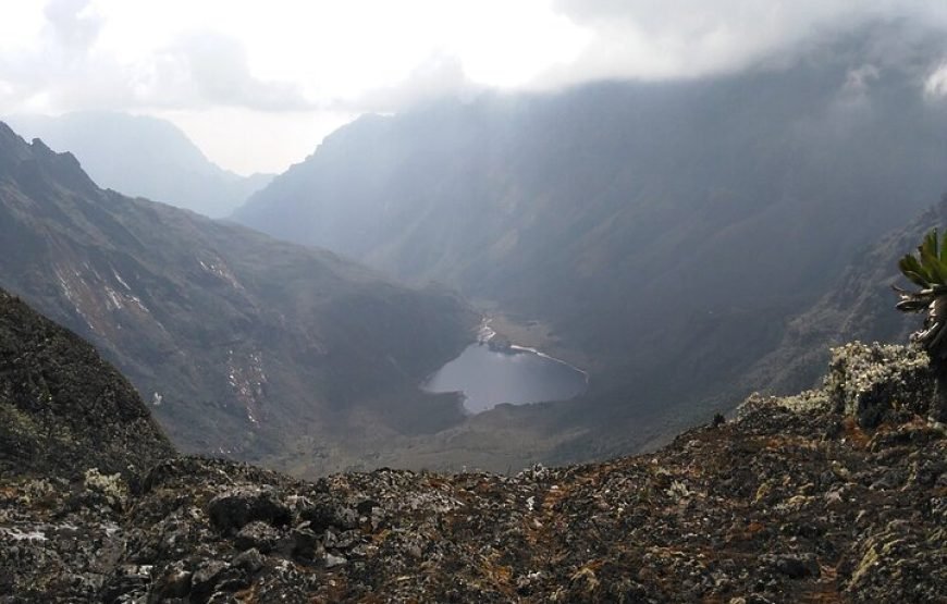 7‑Day Rwenzori Mountains Trekking with Margherita Peak Summit – Epic Alpine Adventure