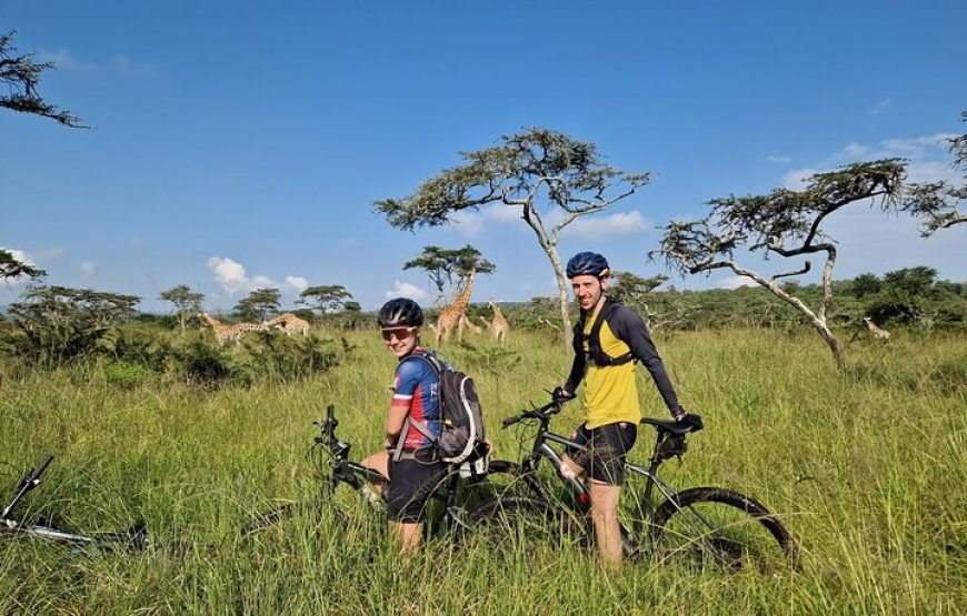 2 Days Cycling Safari to Lake Mburo National Park – Incredible Bush Experience