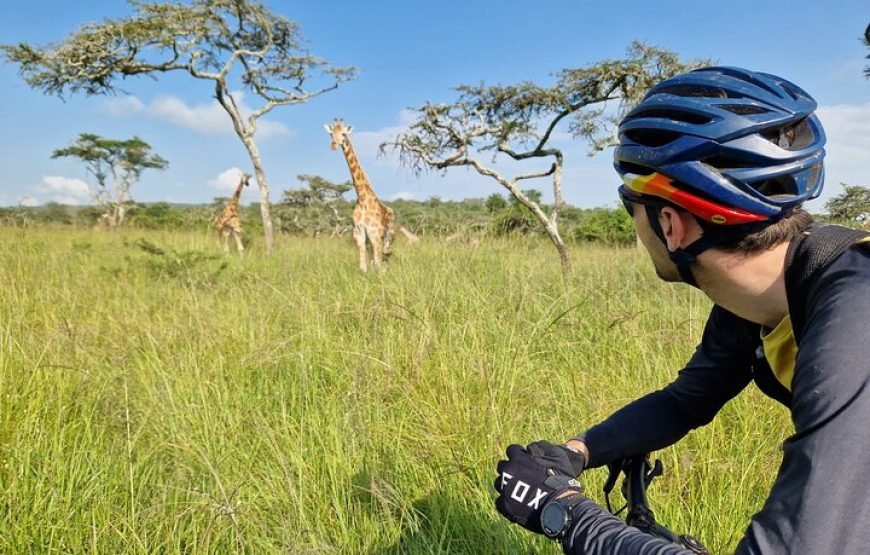 2 Days Cycling Safari to Lake Mburo National Park – Incredible Bush Experience