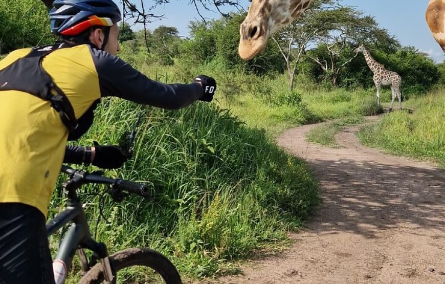 2 Days Cycling Safari to Lake Mburo National Park – Incredible Bush Experience