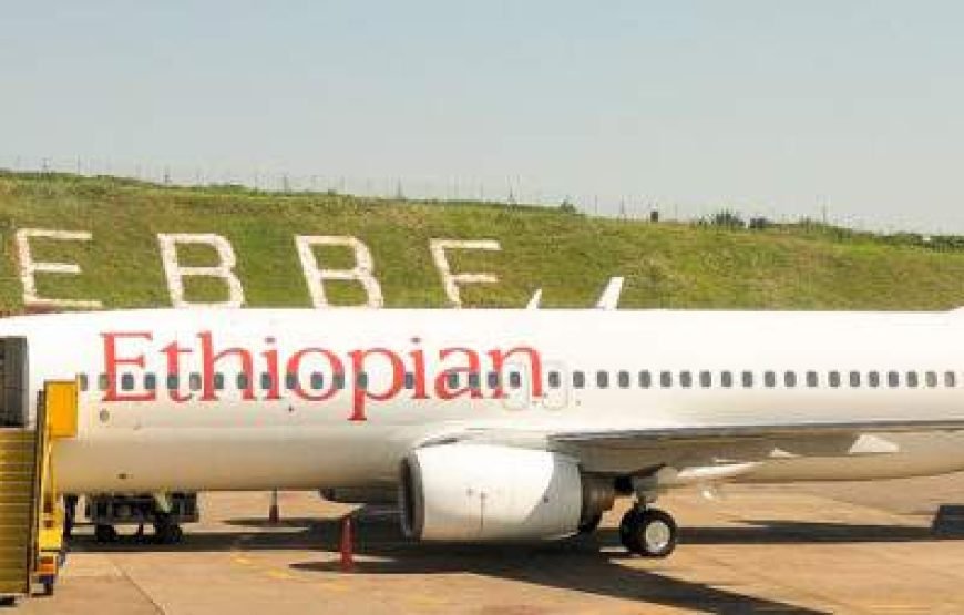 4-Day Uganda Budget Wildlife Safari