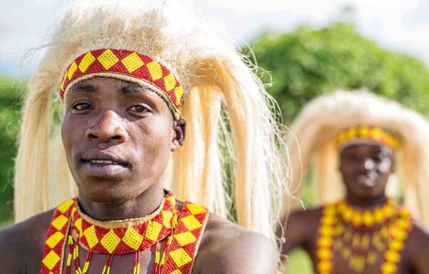 7 Night Gorilla, Golden Monkey and Batwa Culture Safari – Very Impressive