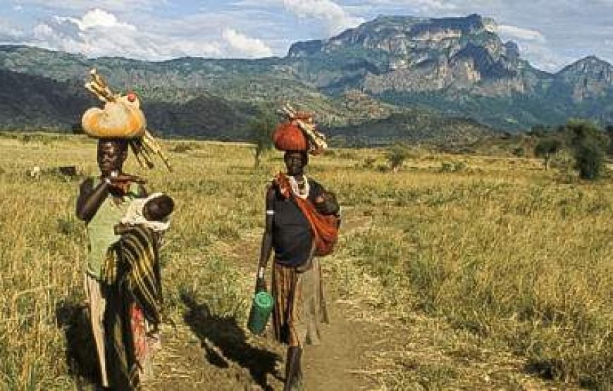 13-Day Cultural and Wildlife Uganda Safari