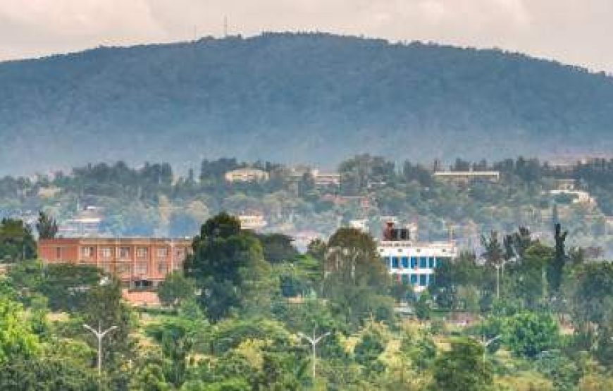 10-Day Wildlife and Culture Wonders of Uganda