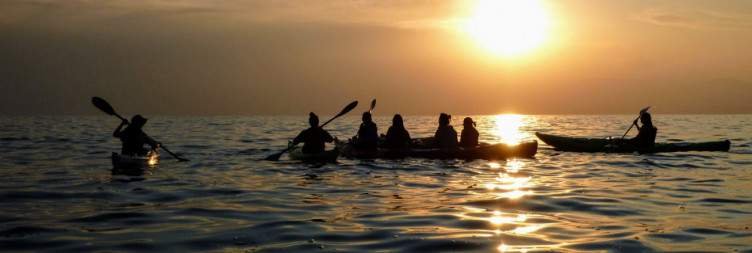 Day 6 Morning Cruise and Game Drive