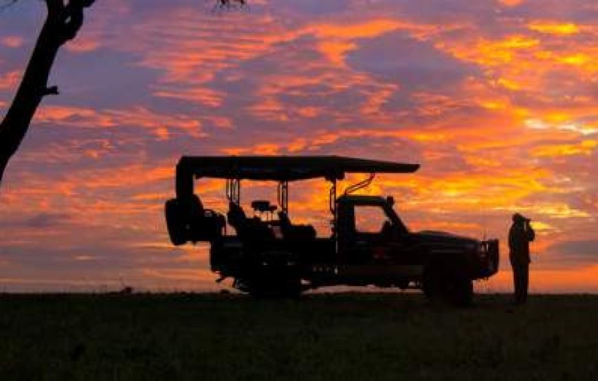 5-Day Luxury Safari in Masai Mara