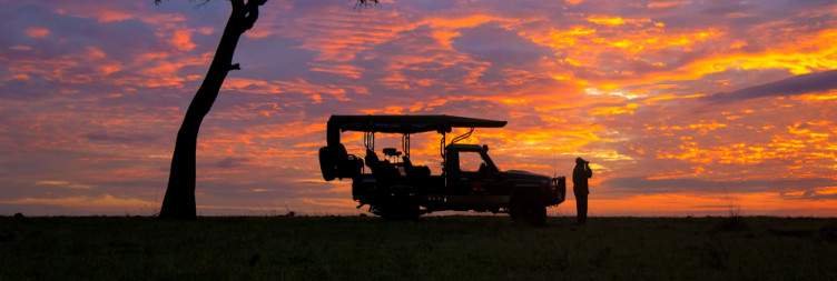 Day 2-4 Safari in Masai Mara National Reserve