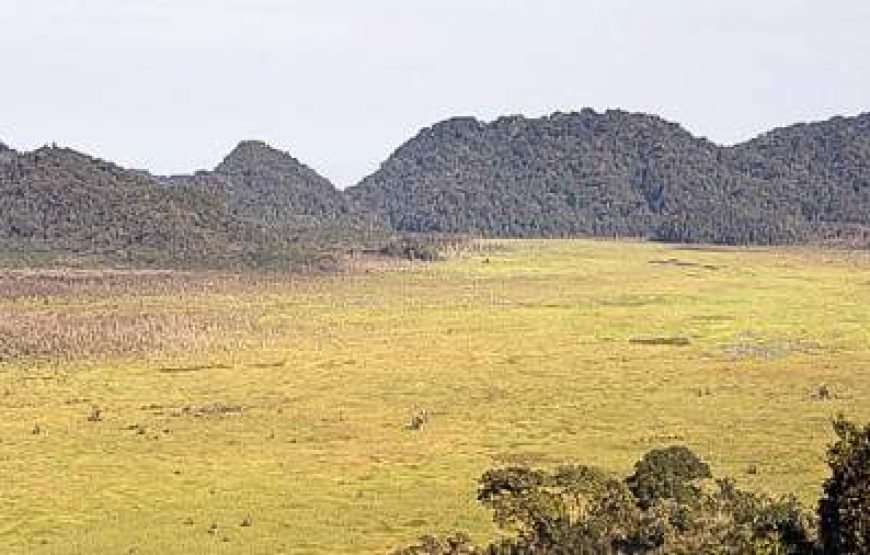 7-Day Rwanda Safari, Adventure and Hiking Experiences