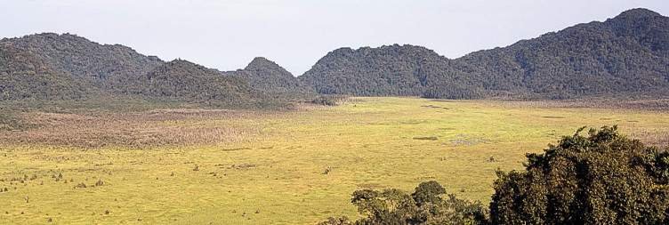 Day 8 Birding in Toro-Semliki Wildlife Reserve