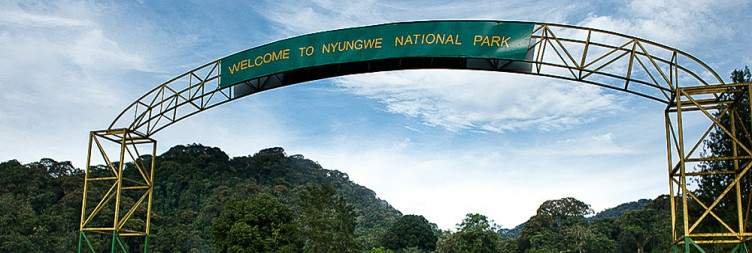 Day 7 Colobus Monkey Trekking and Museum Tour