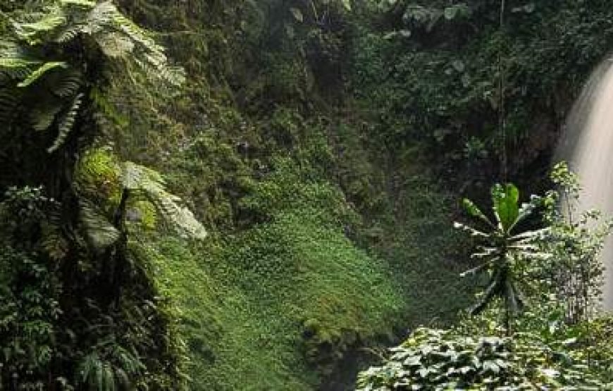 13-Day Cultural and Wildlife Uganda Safari