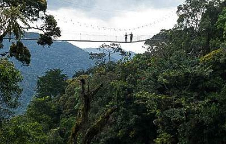6-Day Rwanda Escape – Forest Trails & Volcanoes Views