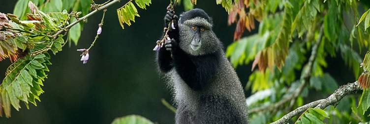 Day 7 Morning Game drive, Afternoon boatride to the Bottom of the falls