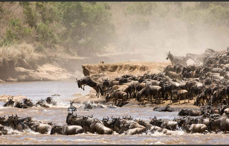 6-Day Majestic Tanzania – Luxury (with Four Seasons)