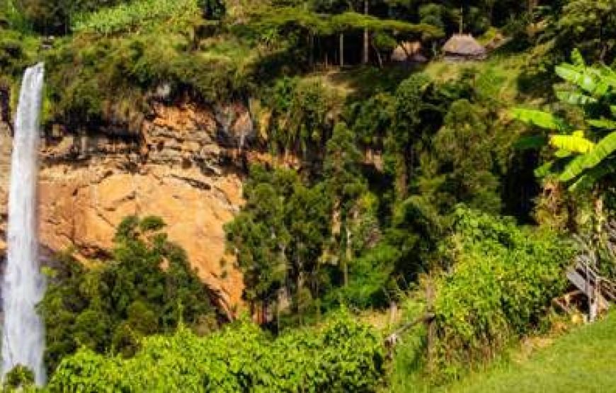 13-Day Cultural and Wildlife Uganda Safari