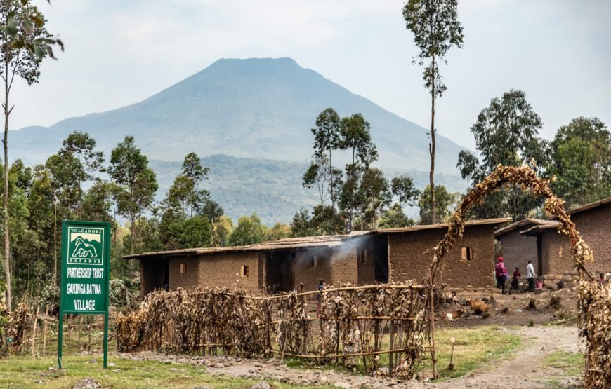 7 Night Gorilla, Golden Monkey and Batwa Culture Safari – Very Impressive