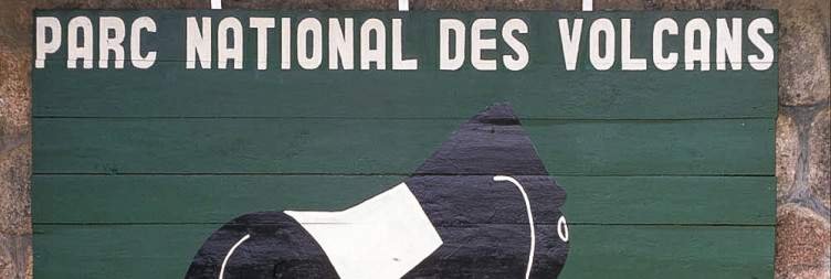 Day 2 Volcanoes National Park (Musanze) – Twin Lakes