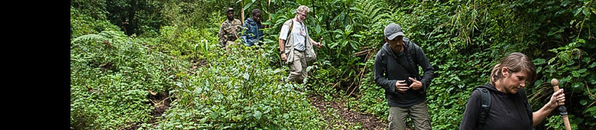 Day 2 Gorilla Trekking - Lake Kivu
