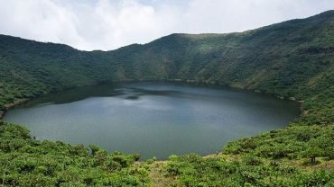 7 Unforgettable Uganda Safari Tours: Gorillas, Wildlife & Cultural Adventures