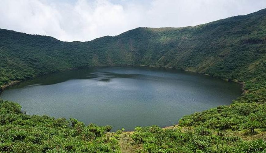 7 Unforgettable Uganda Safari Tours: Gorillas, Wildlife & Cultural Adventures