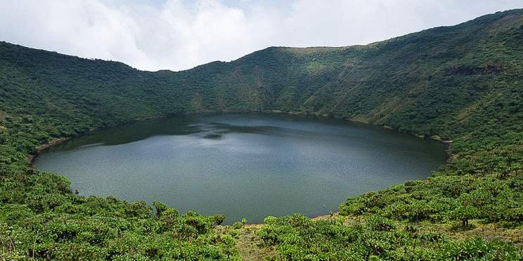 7 Unforgettable Uganda Safari Tours: Gorillas, Wildlife & Cultural Adventures