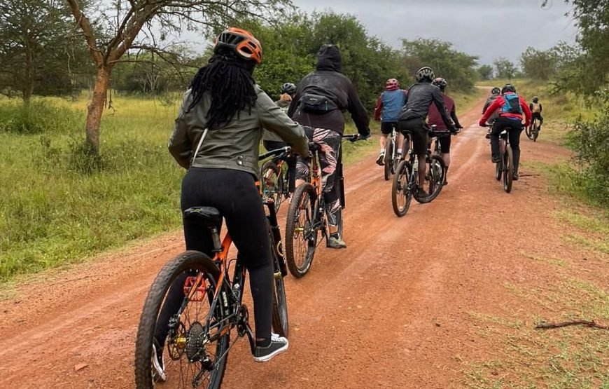 3-Day Gorilla Trekking and Mountain Biking at Lake Kivu