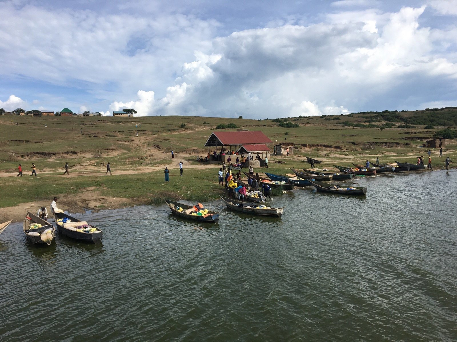 Game drive in Kasenyi sector, Kazinga Channel boat safari & evening game drive along the channel track